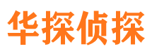 云安市调查公司